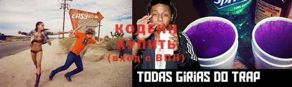 эйфоретик Ельня