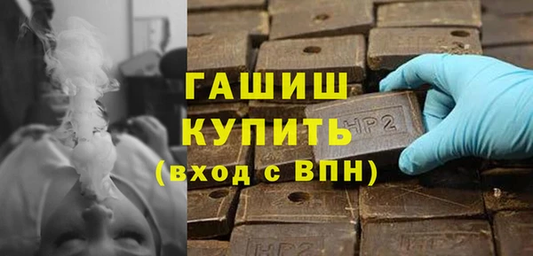 прущие грибы Елабуга