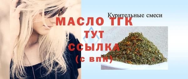 прущие грибы Елабуга