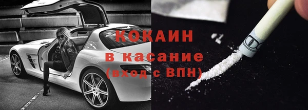 сатива Елизово