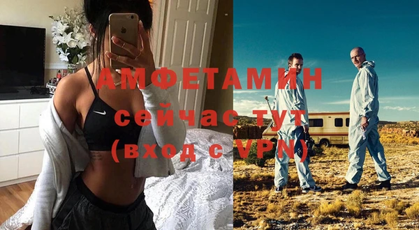 сатива Елизово