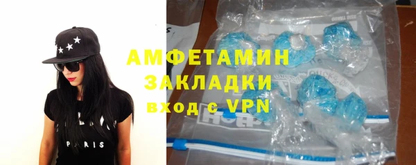 сатива Елизово