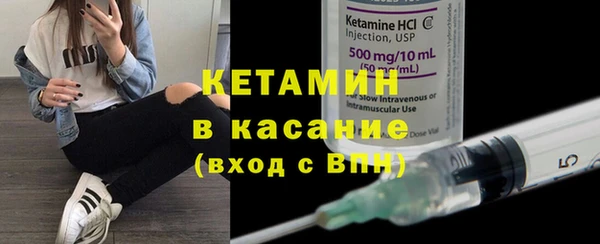прущие грибы Елабуга