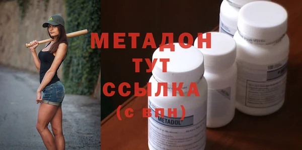 прущие грибы Елабуга