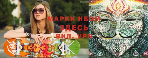 эйфоретик Ельня