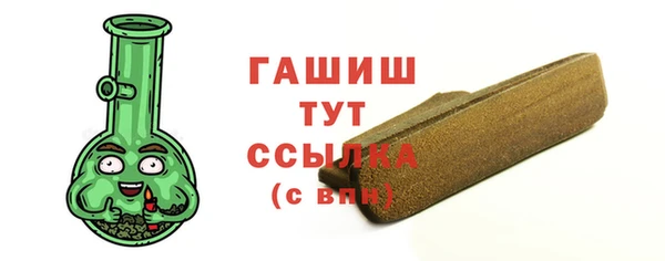 прущие грибы Елабуга