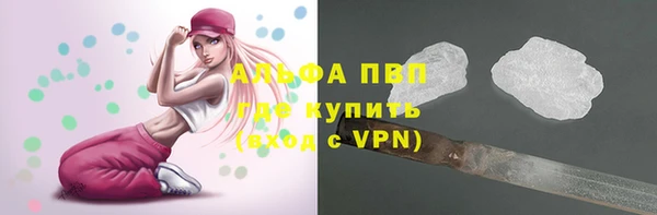 эйфоретик Ельня
