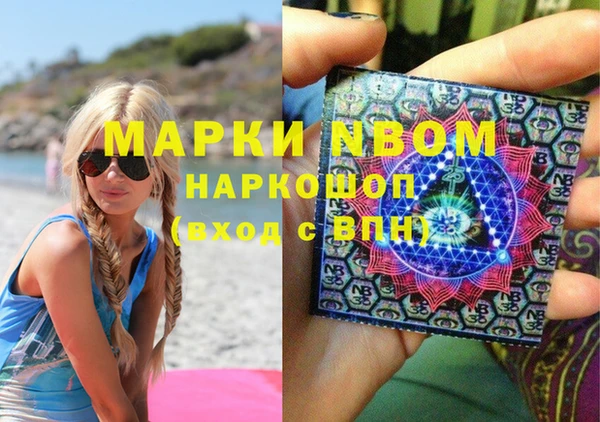 сатива Елизово