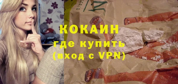 прущие грибы Елабуга