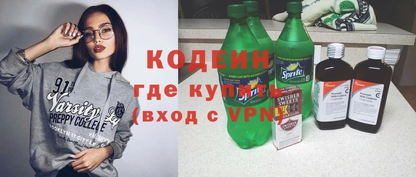прущие грибы Елабуга