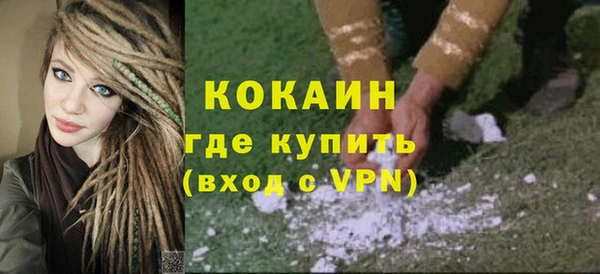 сатива Елизово