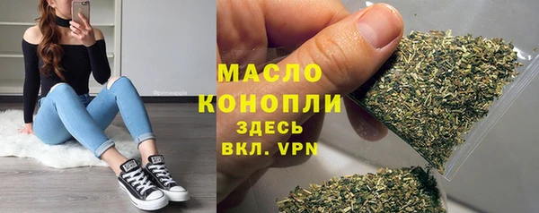 эйфоретик Ельня