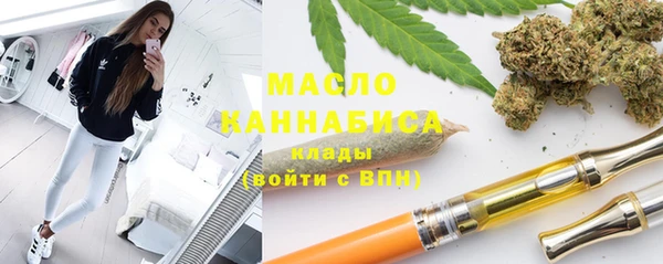 прущие грибы Елабуга