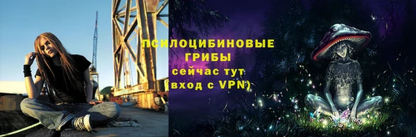 сатива Елизово