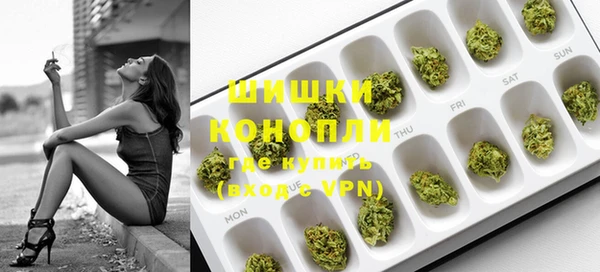 сатива Елизово