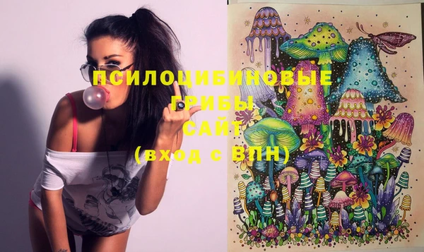 эйфоретик Ельня